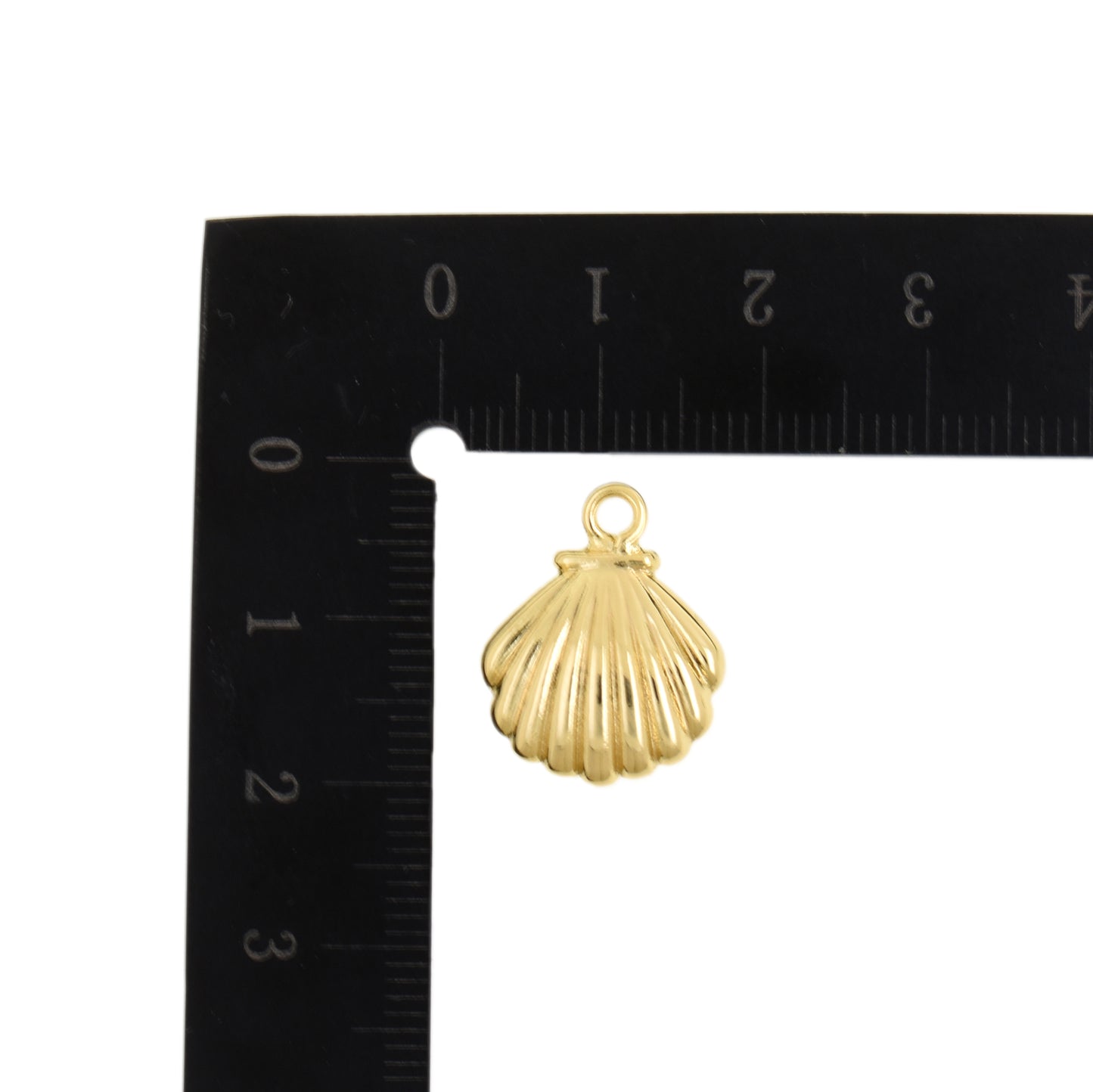 Small Marine Style Shell Pendant 15.5x19mm