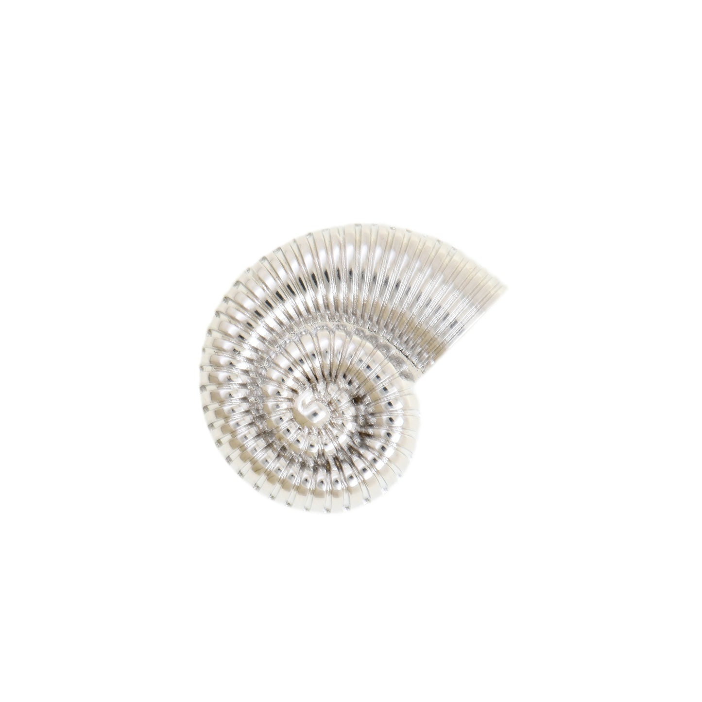 Shiny Gold Sea Shell Pendant In Spiral Form 21.1x27.6mm