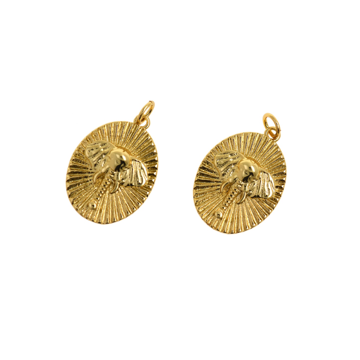Round Disc Pendant, Brass Insect Pendant  22x16mm